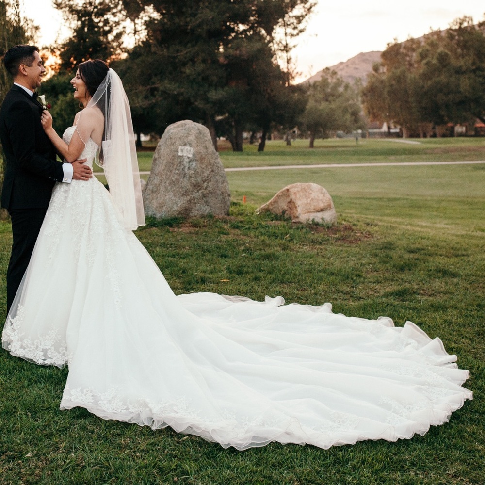 Wedding dress. It bustles all around, strapless long train